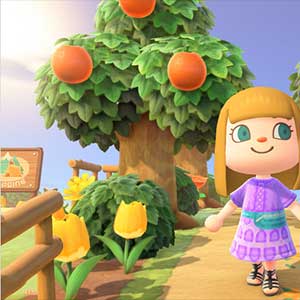 Animal Crossing Items